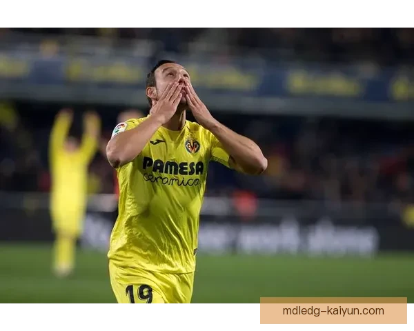 西甲新援评估：新星加盟，球队前景备受期待